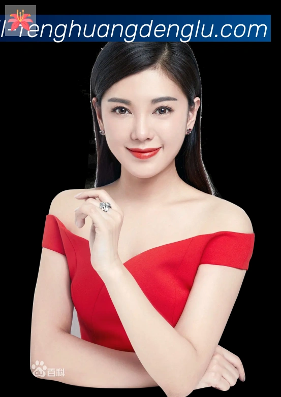 奖项2